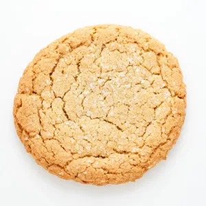 Large Sugar Cookie